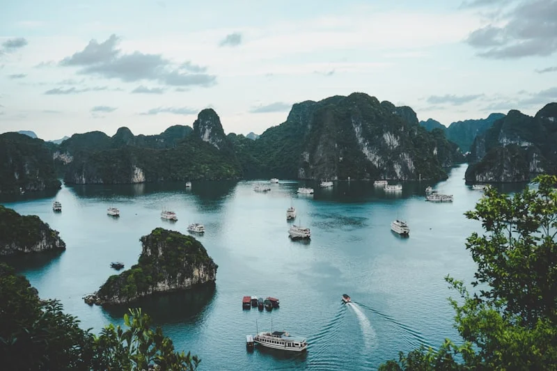 Du thuyền Alisa Premier