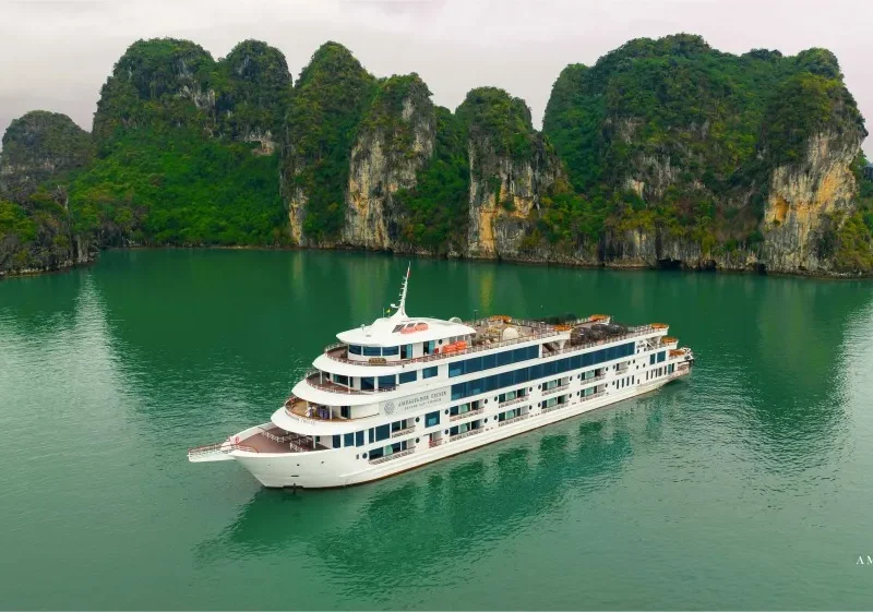 Du Thuyền Ambassador Day Hạ Long: Giá Vé, Tuyến 2026