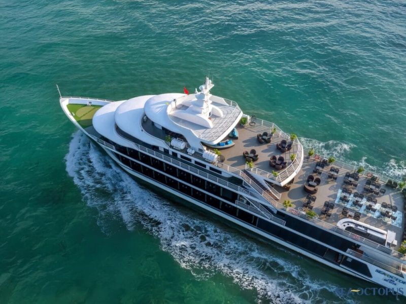 Review Du thuyền Sea Octopus Hạ Long: Giá Vé, Cabin, Lịch Trình Chi Tiết